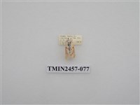 藏品(二斑叉紋苔蛾)的圖片